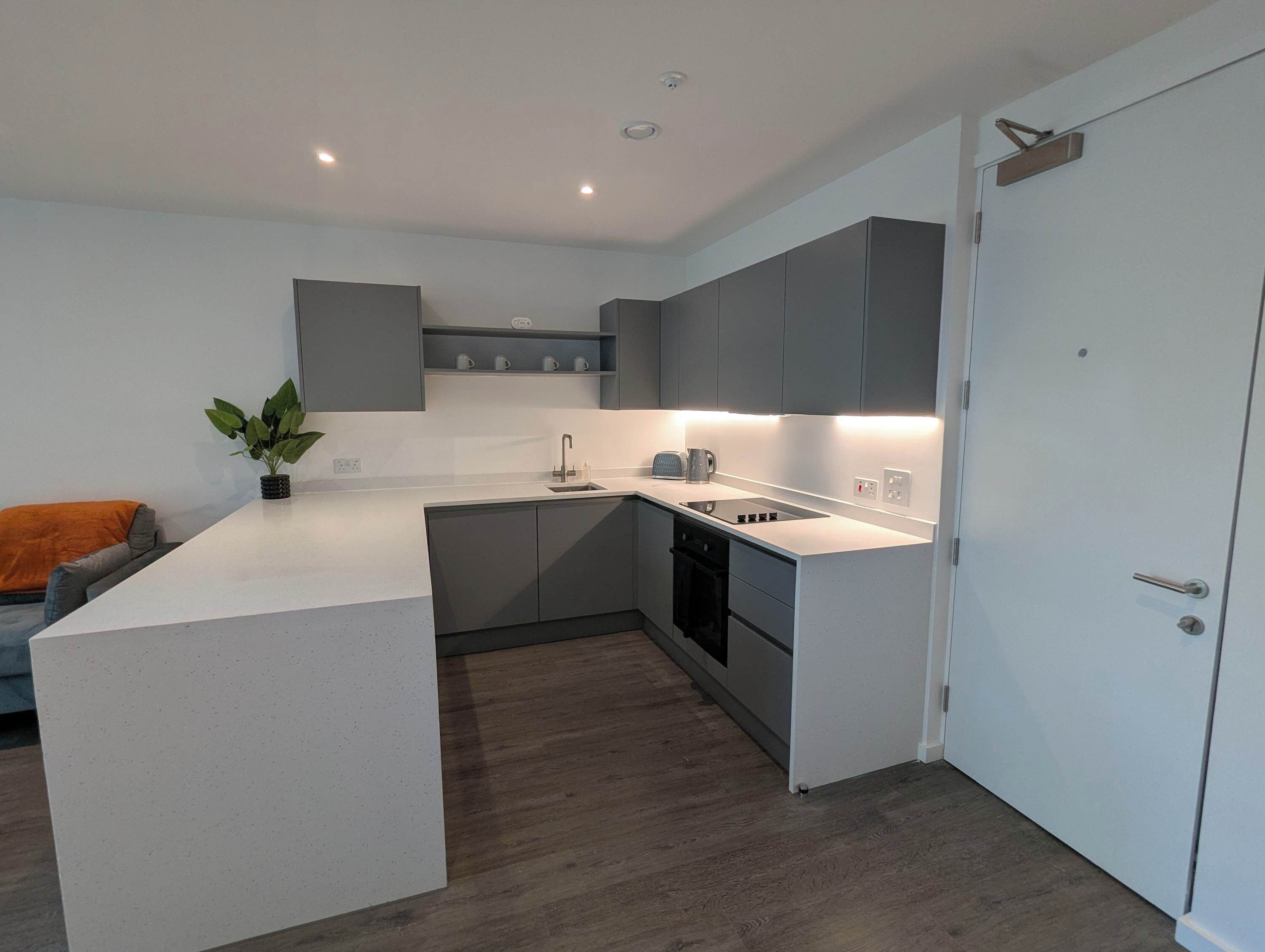 Fridge, oven, stovetop, dishwasher