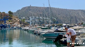 A marina with boats docked, a man and a child by the water, and a hill with buildings in the background.