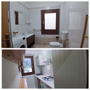 Shower, hair dryer, bidet