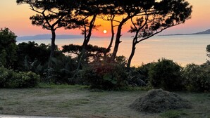 Vista al atardecer con árboles y un cuerpo de agua.