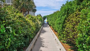 A wooden boardwalk flanked by dense green foliage, leading towards a body of water.