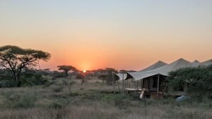 Un espace aménagé avec des tentes offrant une vue sur le coucher de soleil au-dessus d’un paysage de savane.