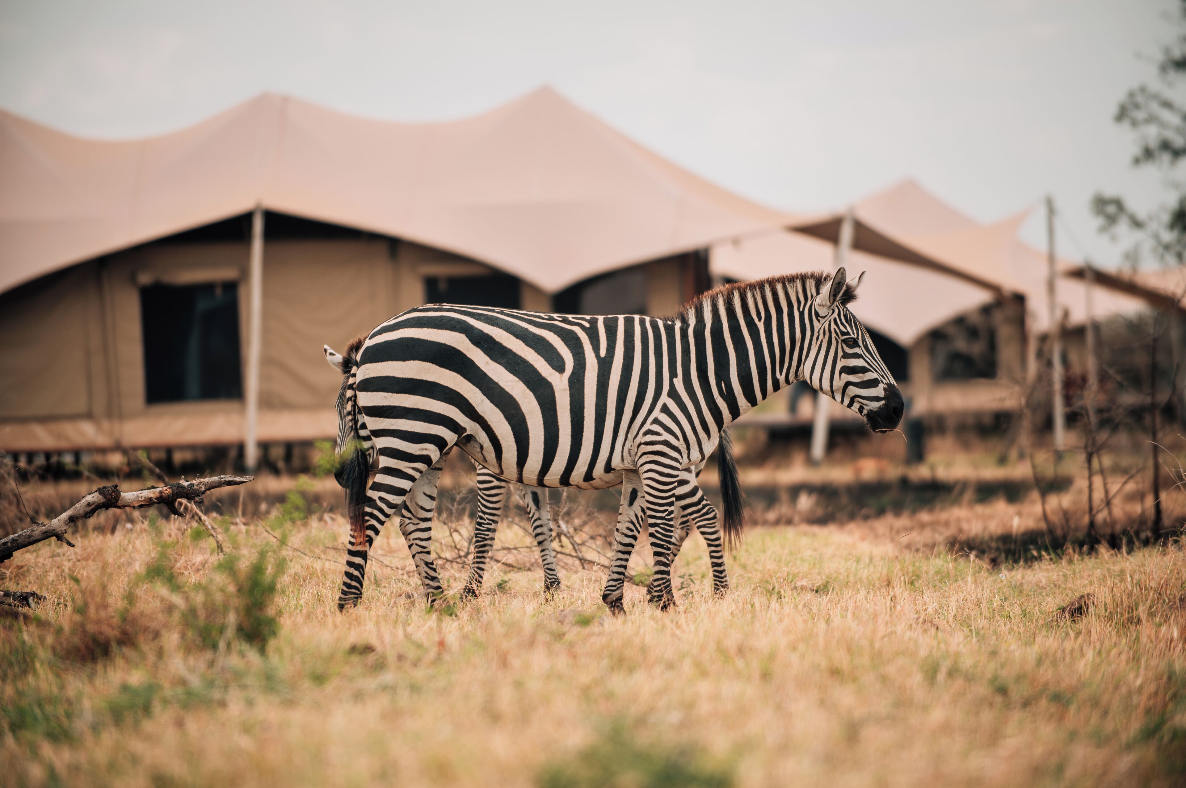 Fachada del alojamiento