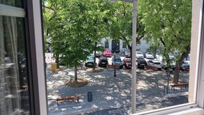 Vista desde una ventana que muestra un estacionamiento con árboles, coches aparcados y un farol.