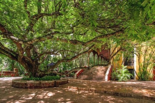Luxurious and Private Hacienda near Merida