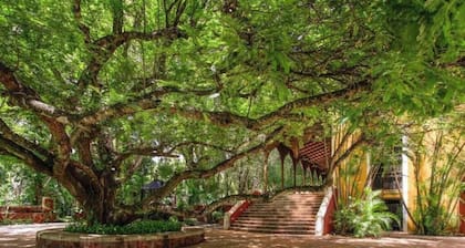 Luxurious and Private Hacienda near Merida