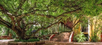 Luxurious and Private Hacienda near Merida