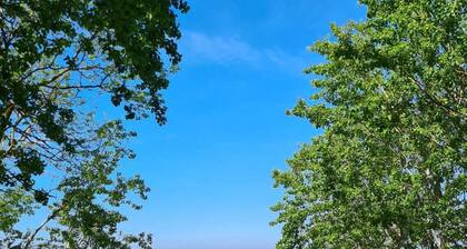 Bungalow Fischadler 47