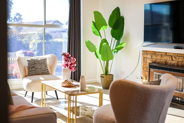 TV, fireplace