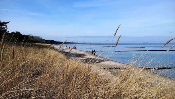 Beach nearby - Haus Arkona (Glowe)