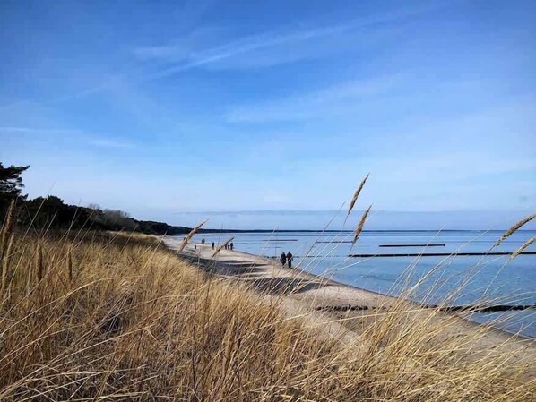 Playa en los alrededores 
