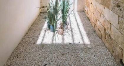 Luxury Apartment in Los Heroes