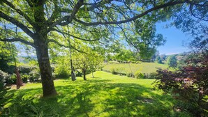 Un jardin luxuriant avec un grand arbre, une pelouse bien entretenue et une variété d’arbustes.