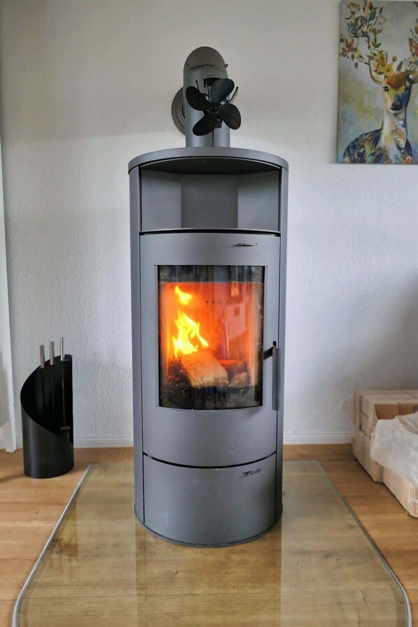 A modern wood-burning stove with a glass door, a black fan on top, and a metal handle on the side. - Apfelhaus am Hennesee (Meschede)