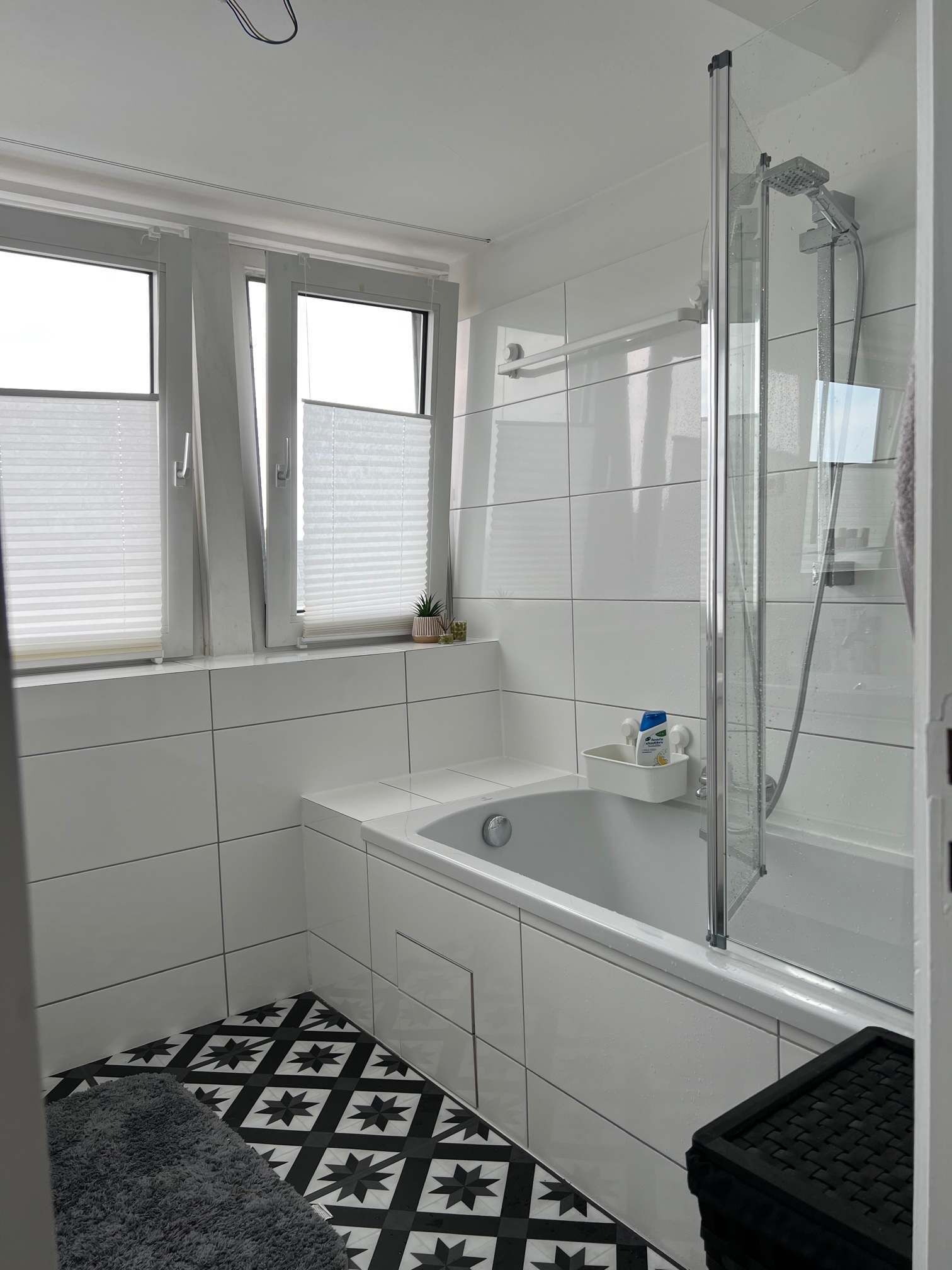 Shower, hair dryer