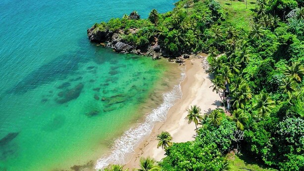 Una playa tropical con aguas turquesas cristalinas, una orilla arenosa y abundante vegetación.