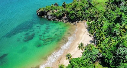 Vistamare Samana 1-bedroom beachfront, pool, Wifi VII 102