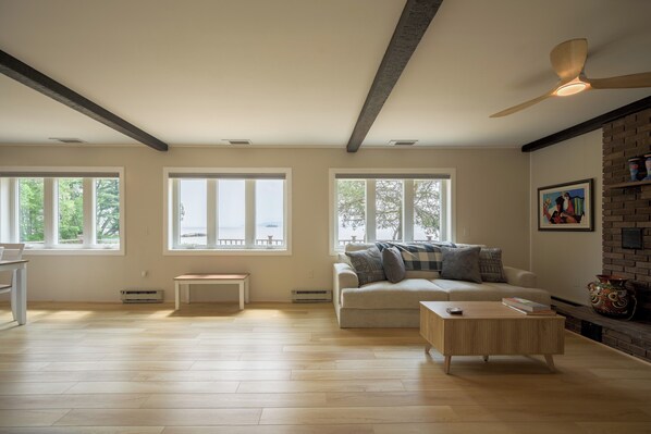 TV connectée, cheminée, livres