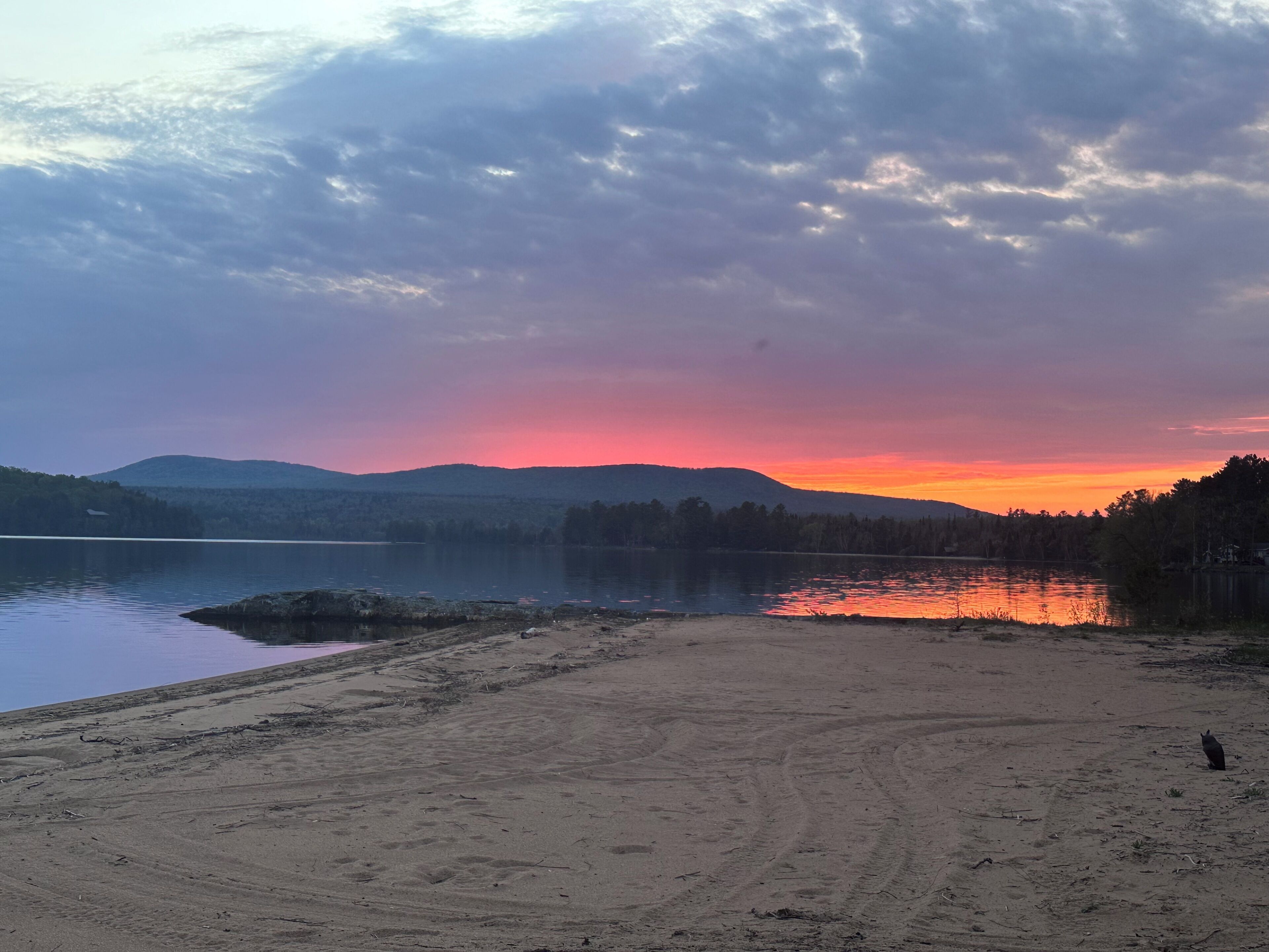Une plage bordée d’un lac, avec des arbres et des montagnes en arrière-plan.