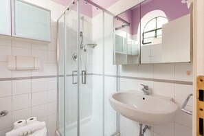 Shower, hair dryer, bidet, towels