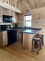 Coffee/tea maker, full-size fridge, microwave, oven