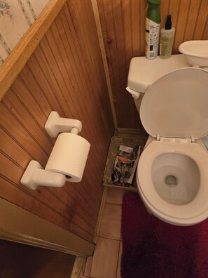 Sèche-cheveux, savon, shampoing, papier toilette