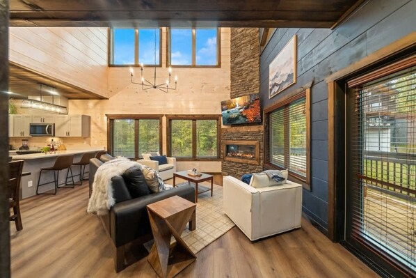 TV, fireplace, video games