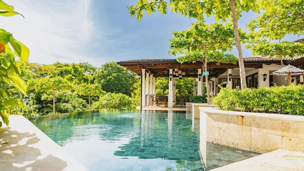 Piscina infinita con pérgola y zona de estar al aire libre, rodeada de exuberante vegetación y un cielo azul despejado.