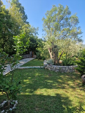 Property grounds - PEACE OF HEAVEN (kotor)