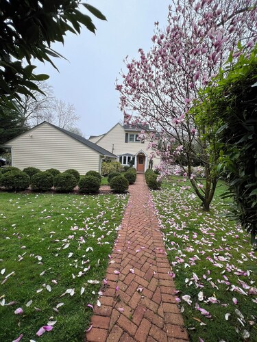 Spacious, serene and very private 5-bedroom house with AC in Roslyn Heights.