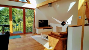 TV connectée, cheminée, livres