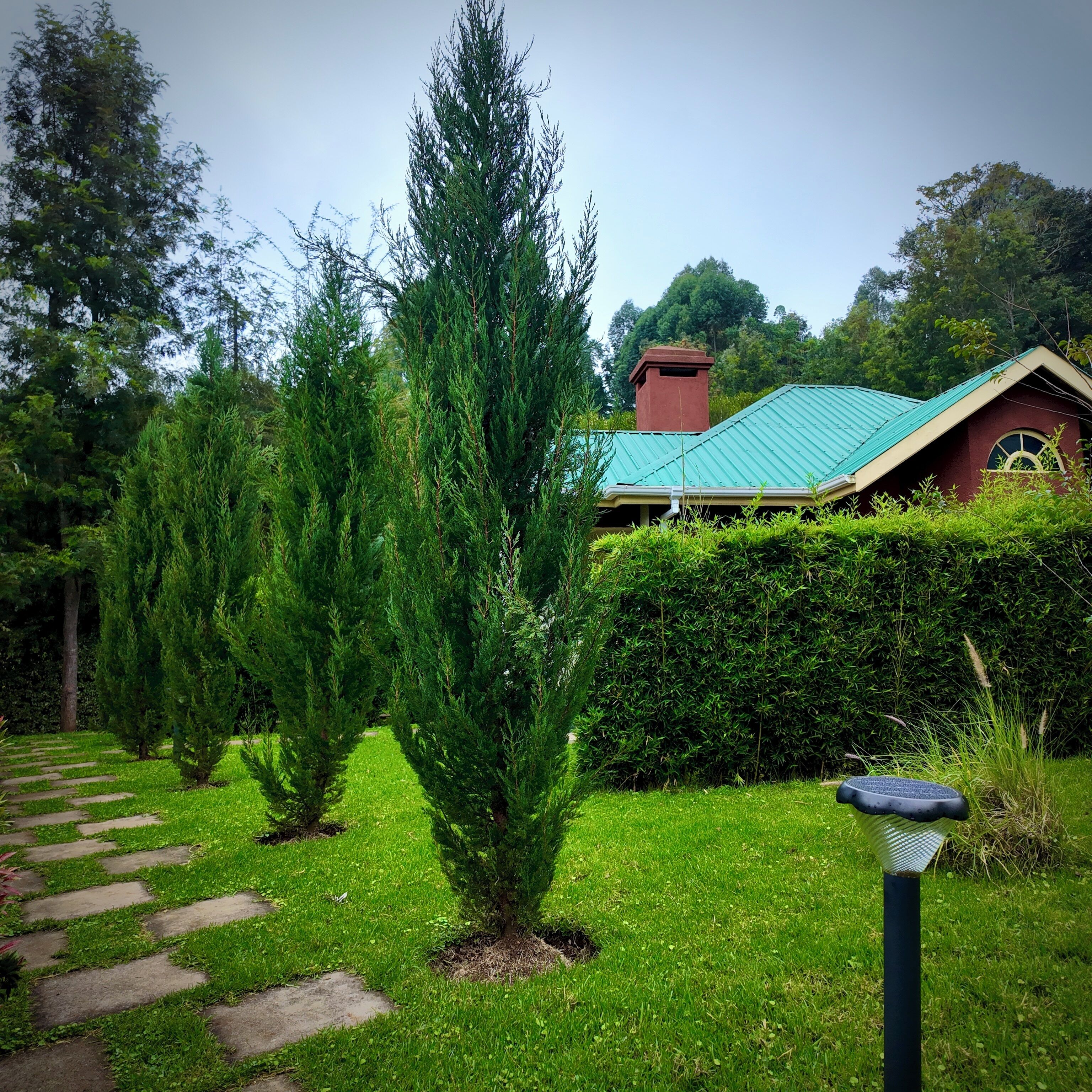A garden with a pathway leading to a building with a red roof.