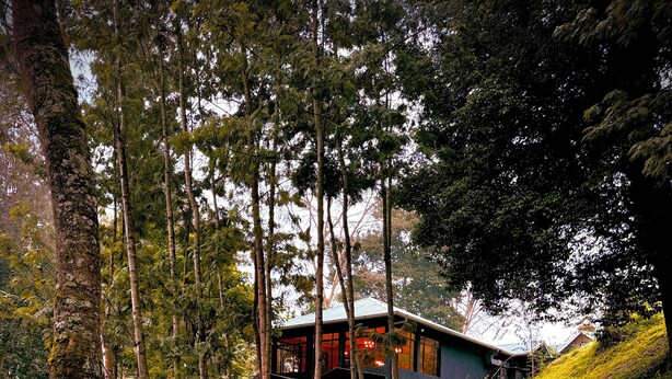 Una casa moderna rodeada de árboles, con un sendero de ladrillo rojo que conduce a ella.
