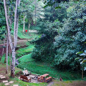 Garden view