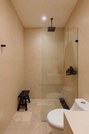 Ducha, secador de pelo y champú