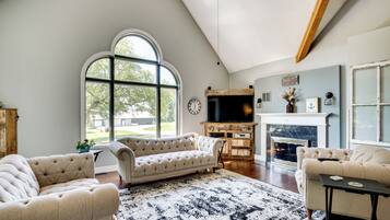 TV, fireplace, books