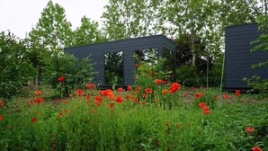 A garden with a wooden pergola structure surrounded by lush greenery and red poppies.