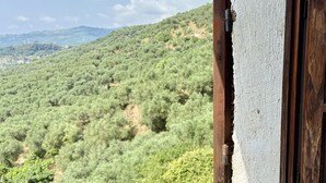 Un balcone con vista su un paesaggio collinare.