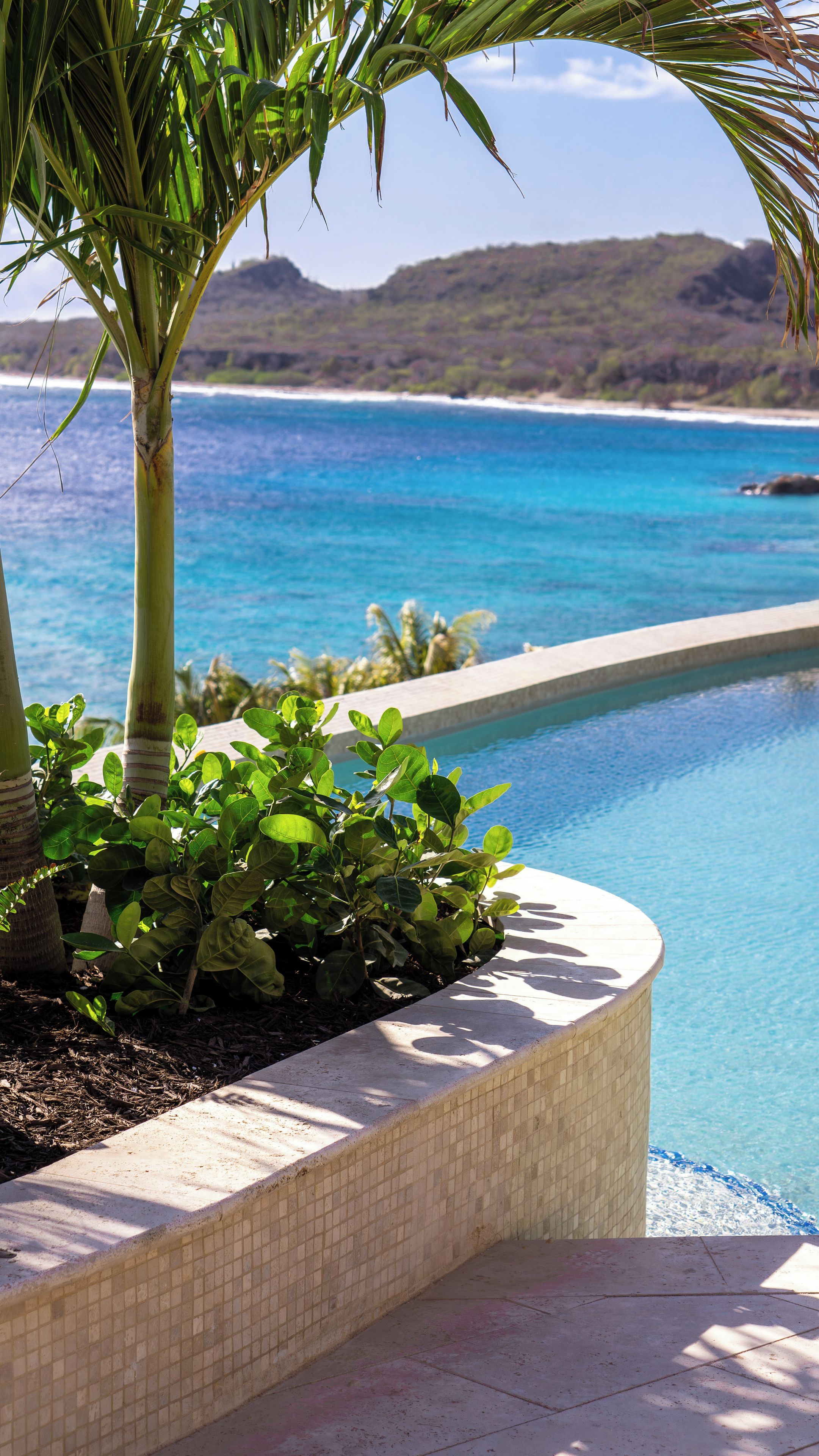 Uma piscina com água azul cristalina, ladeada por um revestimento cerâmico e vegetação exuberante.