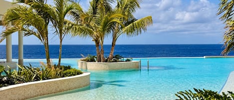 A clear blue pool with palm trees and a view of the ocean.