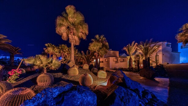 Vista nocturna de un resort con palmeras, cactus y un edificio moderno con ventanas iluminadas.