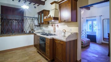 Classic Condo, Non Smoking, Balcony | Private kitchen