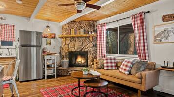 Televisión, chimenea y videojuegos