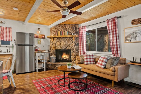 TV, fireplace, video games