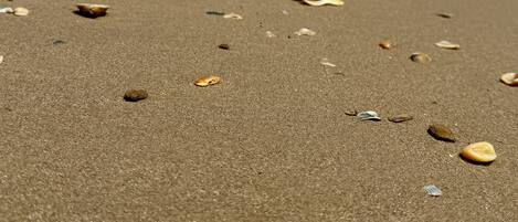 En la playa, toallas de playa