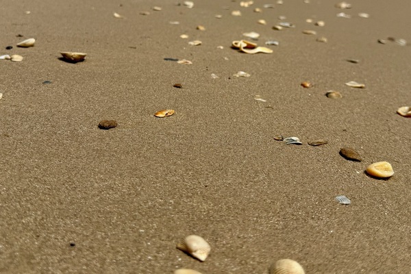 Na praia, toalhas de praia