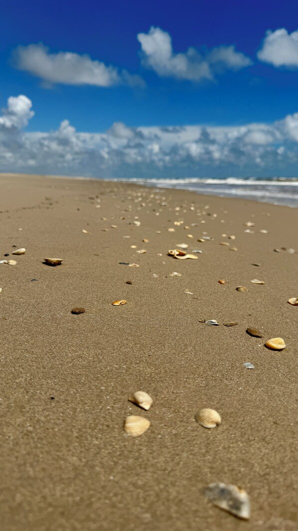 Plage, serviettes de plage