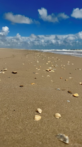 "The Lazy Coconut," a family and pet-friendly home in beach walking distance.