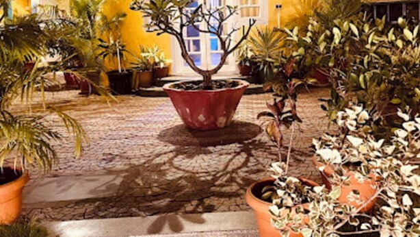 Une cour intérieure agrémentée de plantes en pot, avec un arbre au centre et un bâtiment dont la façade est jaune et qui est surmonté d’une horloge.