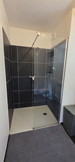 Hair dryer, towels, toilet paper